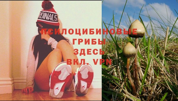 сатива Карталы