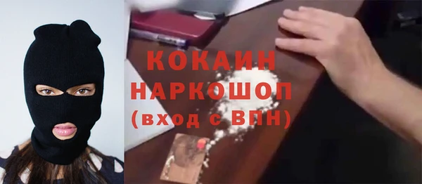 крисы Карпинск