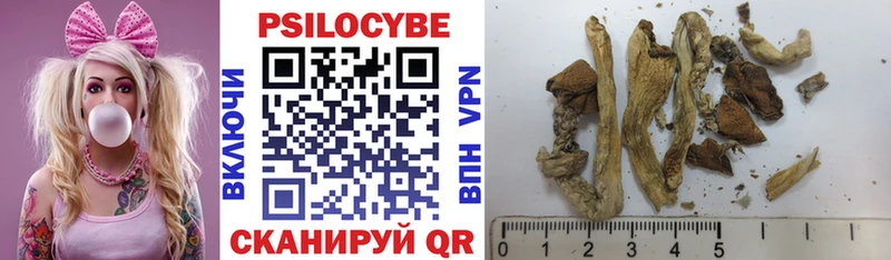 Купить закладки  Ипатово  Галлюциногенные грибы Magic Shrooms 